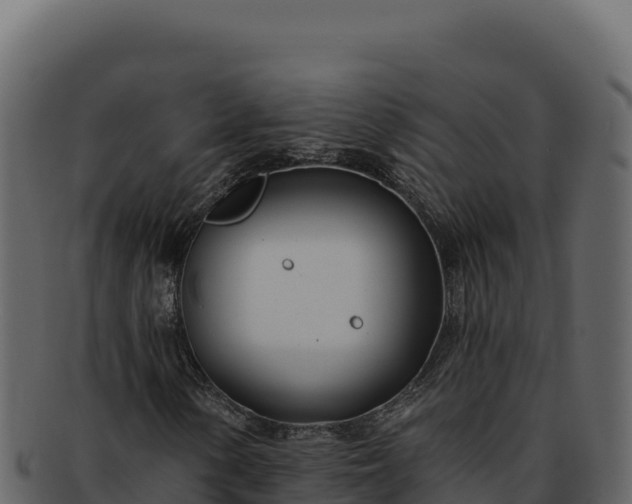 X0000092301154200710041442