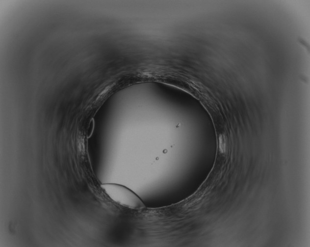 X0000092301155200710041442