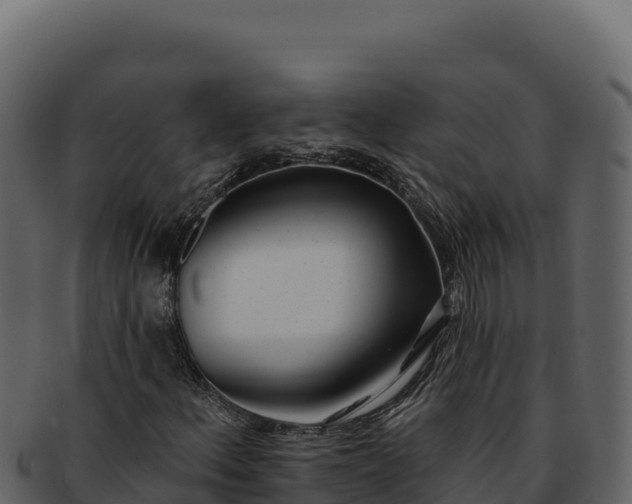 X0000092301156200710041442