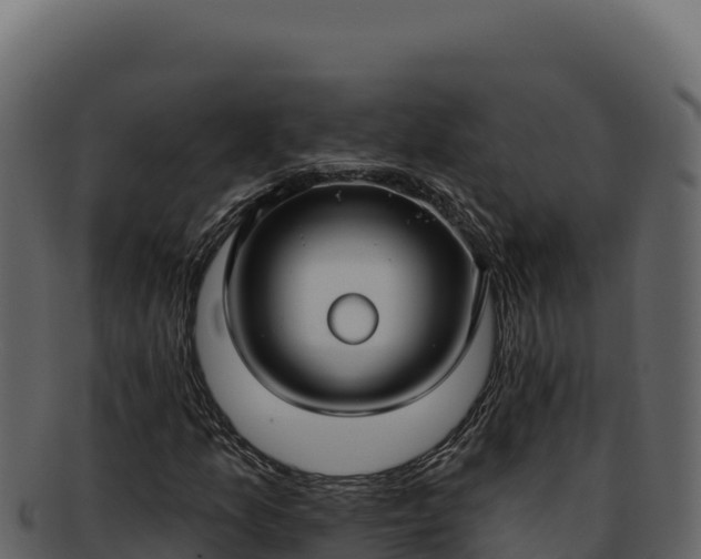 X0000092301157200710041442