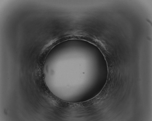 X0000092301159200710041442