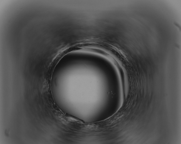 X0000092301160200710041442