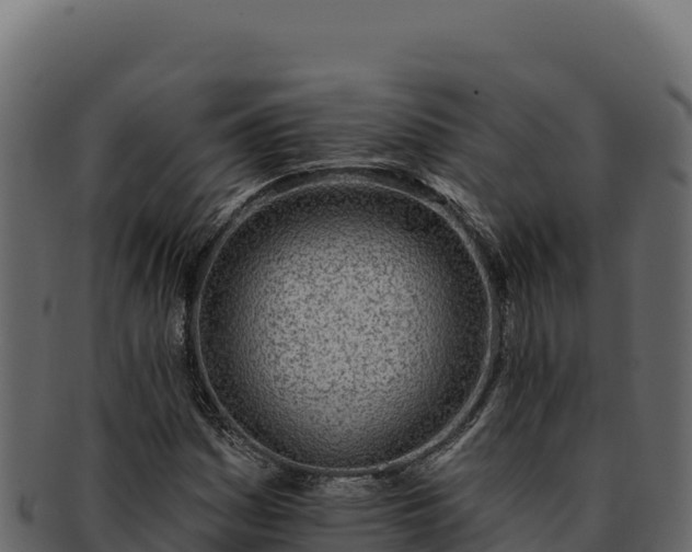 X0000092301161200710041442