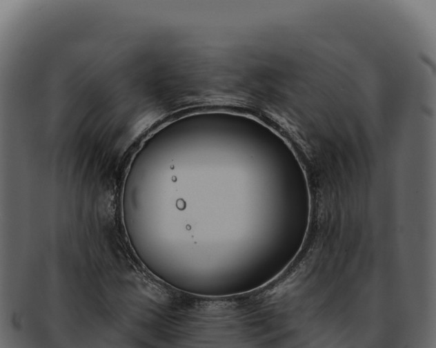 X0000092301163200710041442