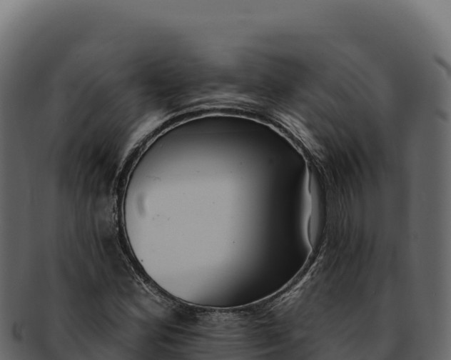 X0000092301164200710041442