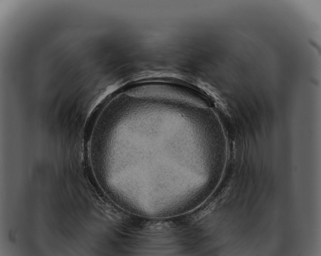 X0000092301165200710041442