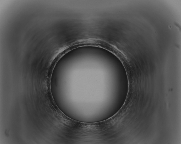 X0000092301166200710041442