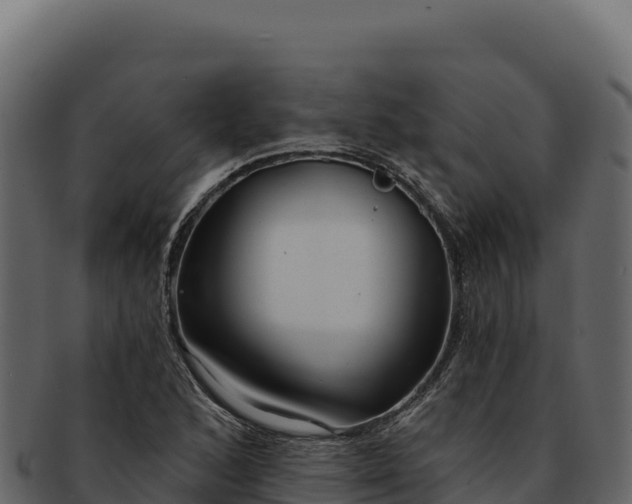 X0000092301168200710041442