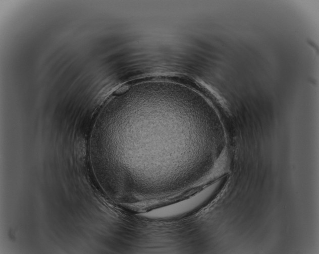 X0000092301169200710041442