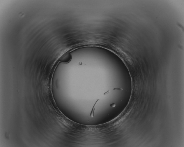 X0000092301170200710041442