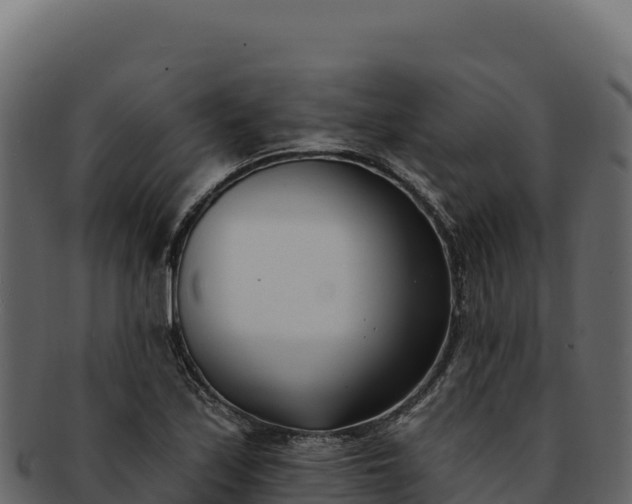 X0000092301171200710041442