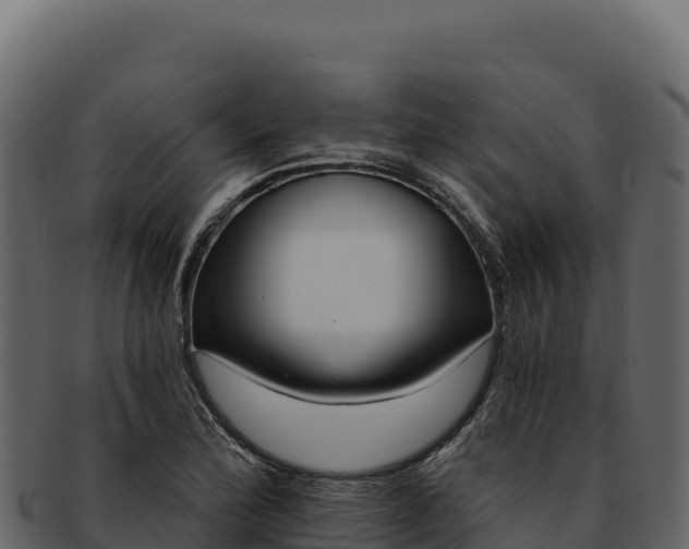 X0000092301172200710041442