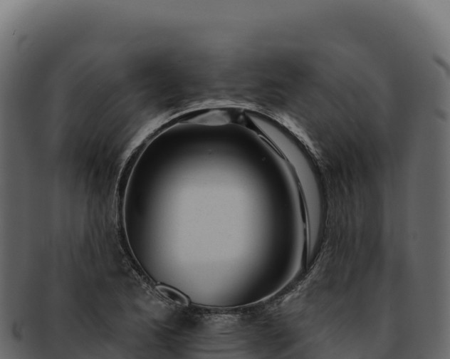 X0000092301173200710041442