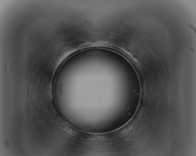 X0000092301174200710041442