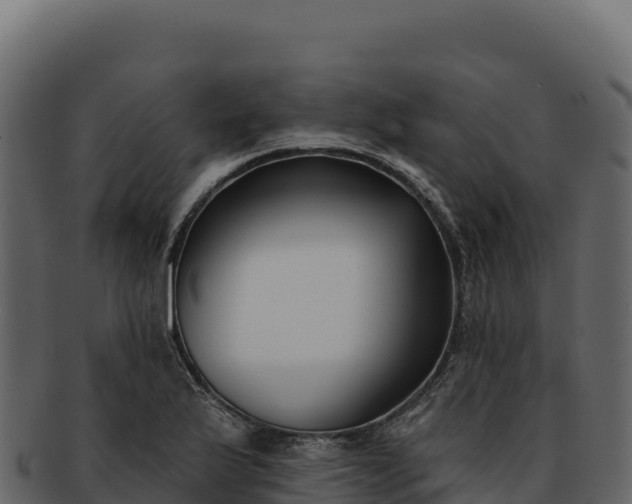 X0000092301175200710041442