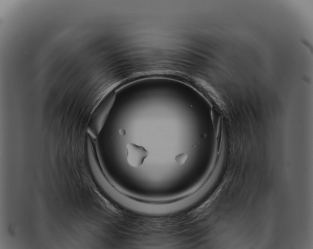 X0000092301177200710041442