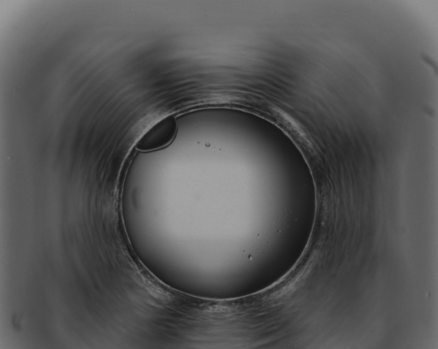 X0000092301178200710041442