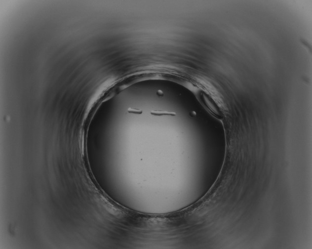 X0000092301180200710041442