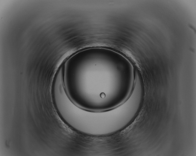 X0000092301181200710041442