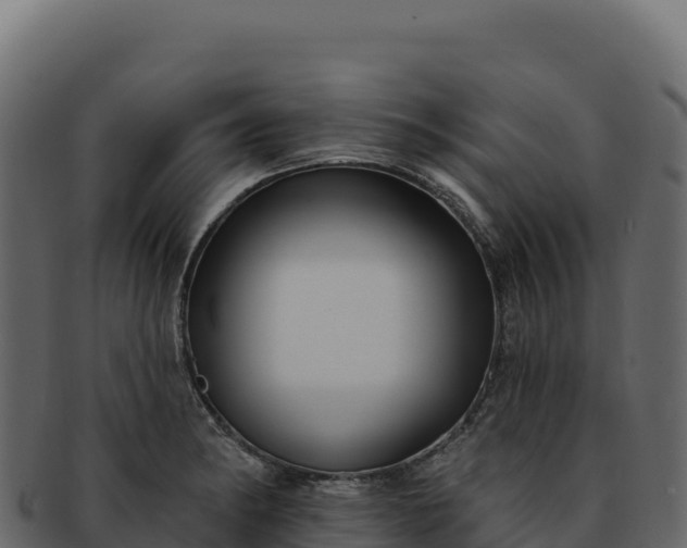 X0000092301182200710041442