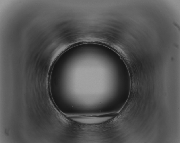 X0000092301183200710041442