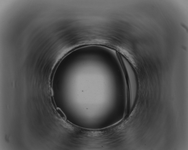 X0000092301184200710041442