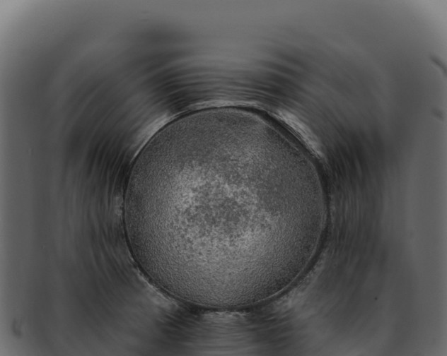 X0000092301185200710041442