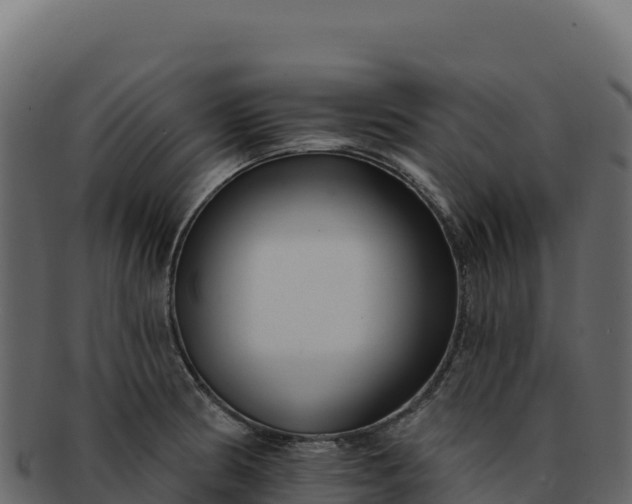 X0000092301186200710041442