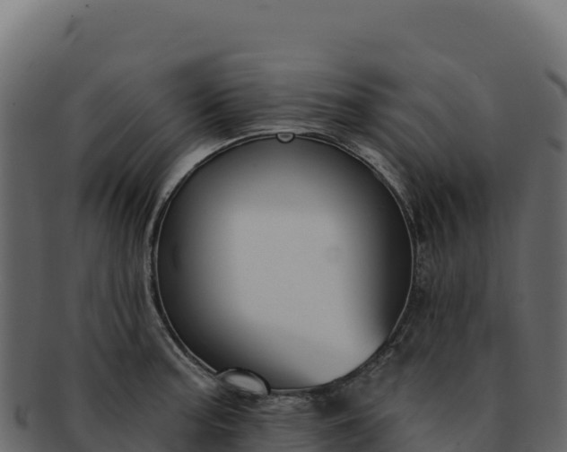 X0000092301187200710041442