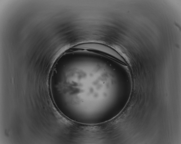 X0000092301189200710041442