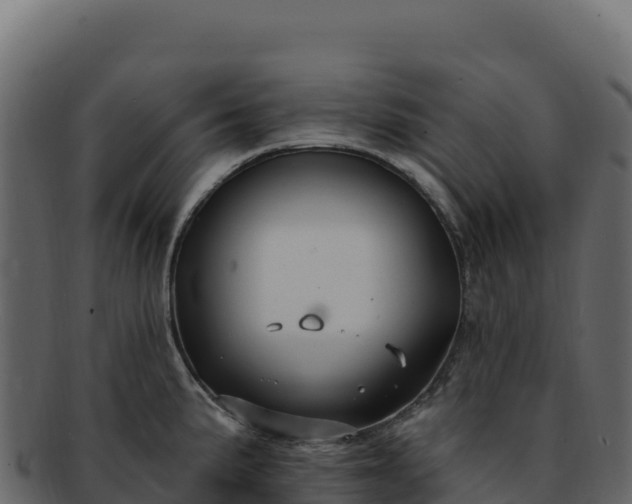 X0000092301191200710041442