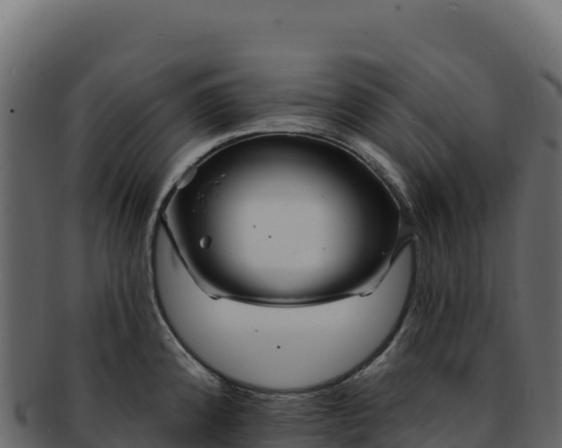 X0000092301192200710041442