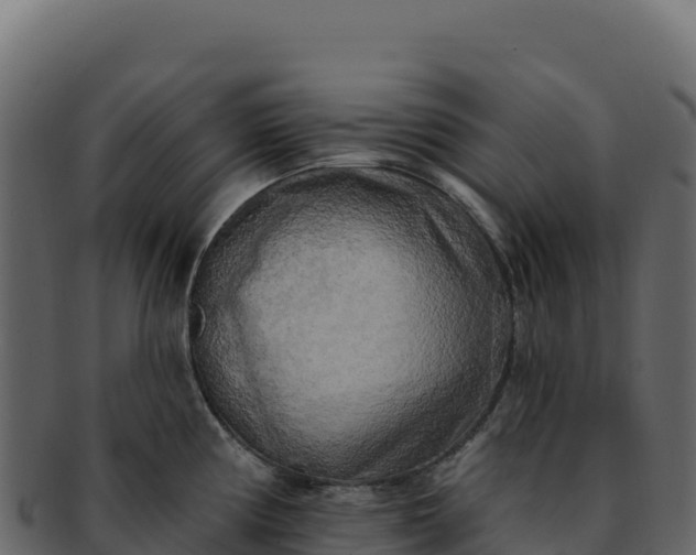 X0000092301194200710041442