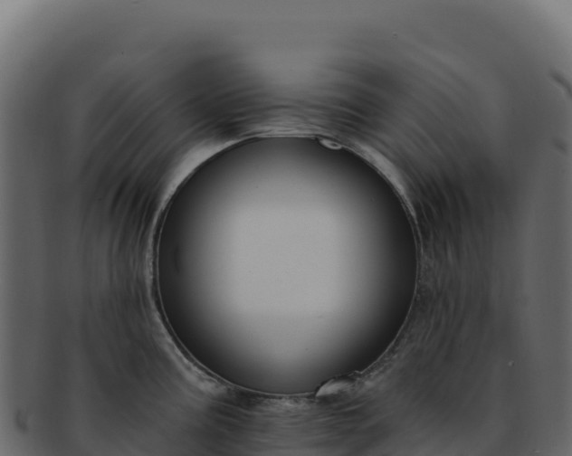 X0000092301195200710041442