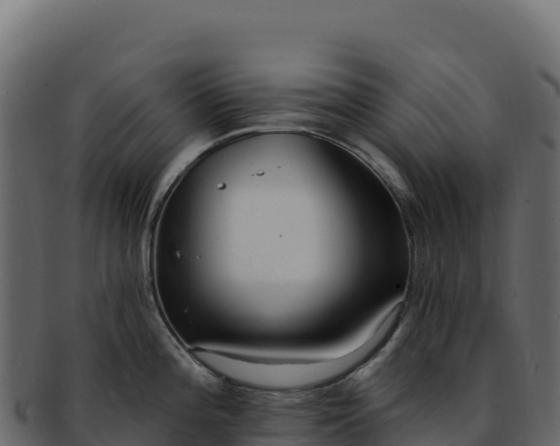 X0000092301196200710041442