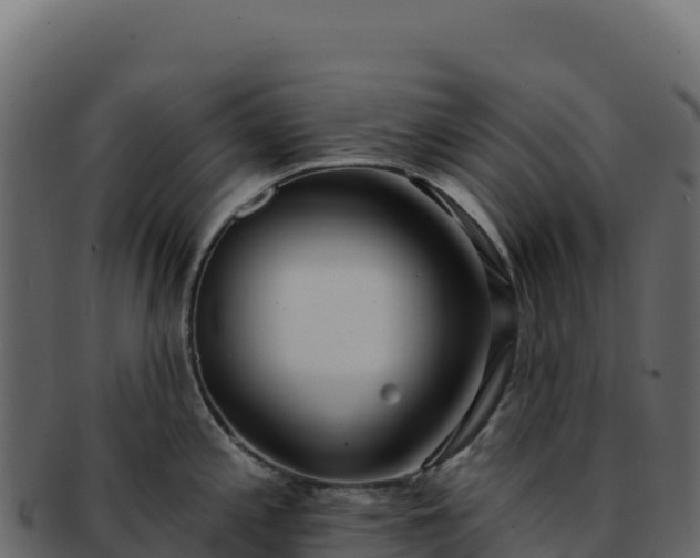 X0000092301197200710041442