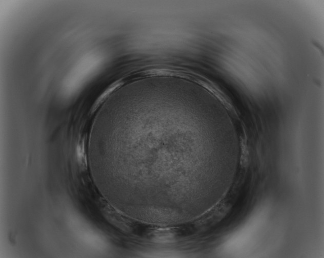 X0000092301198200710041442