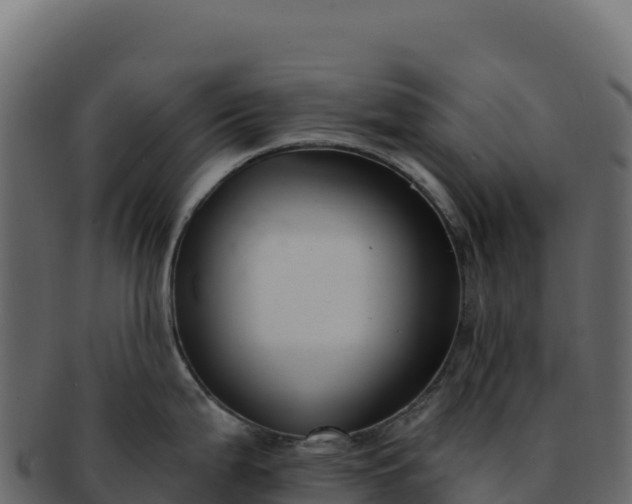 X0000092301199200710041442