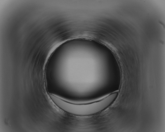 X0000092301200200710041442