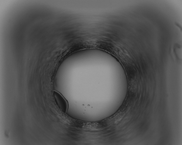 X0000092301201200710041441