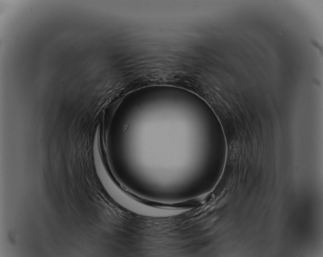 X0000092301202200710041441