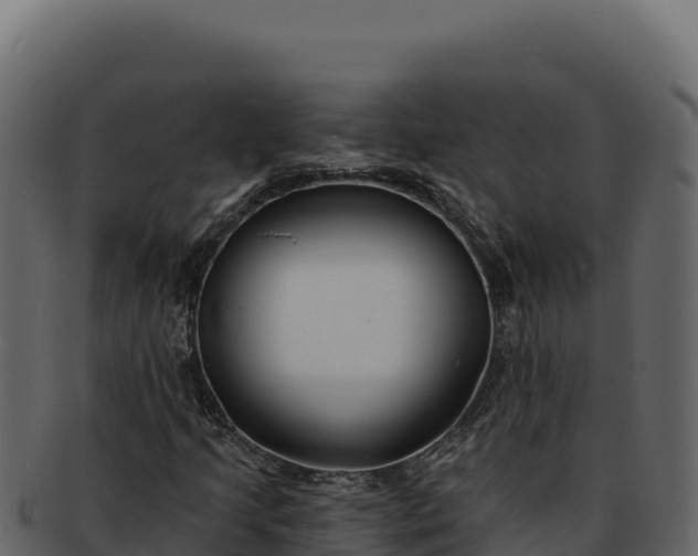 X0000092301205200710041441