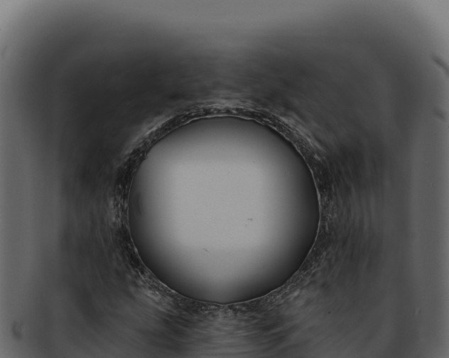 X0000092301207200710041441