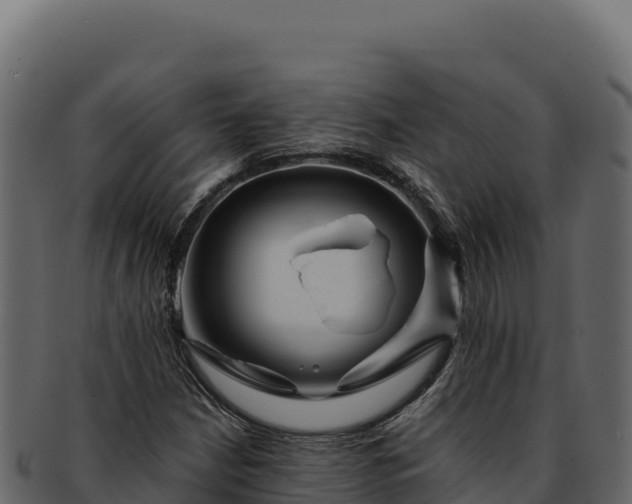 X0000092301210200710041441