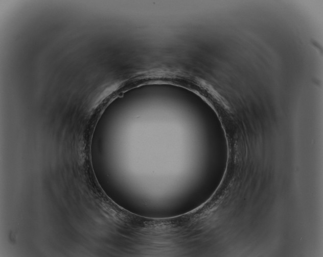 X0000092301213200710041441