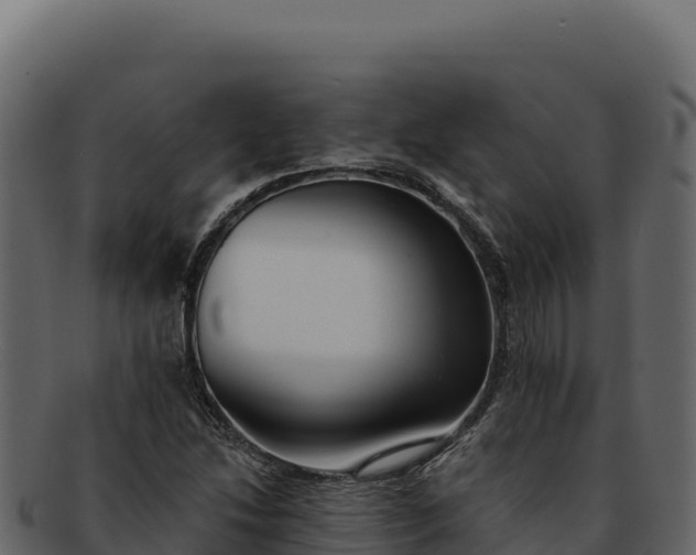 X0000092301214200710041441