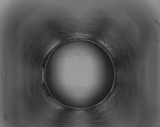 X0000092301219200710041441