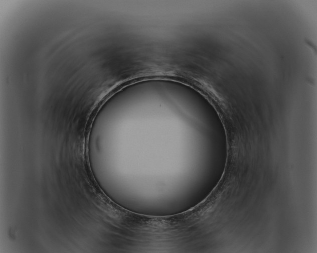 X0000092301220200710041441