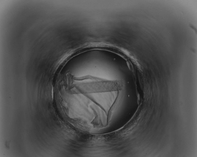 X0000092301221200710041441