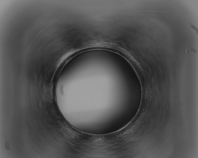 X0000092301222200710041441